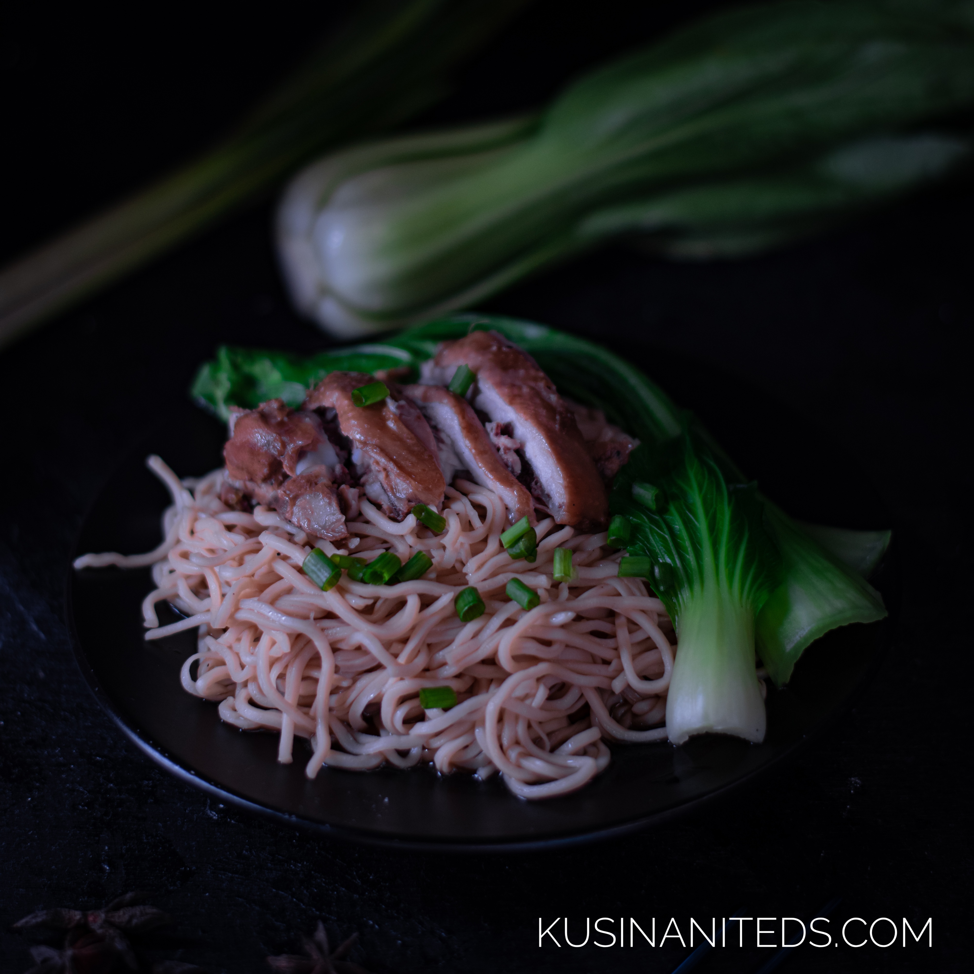 Braised Chicken Noodle